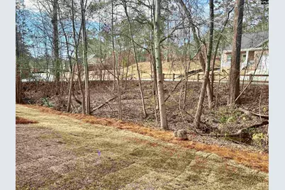 205 Quiet Side Court, Blythewood, SC 29016 - Photo 6
