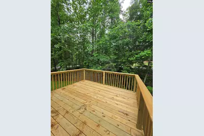 205 Quiet Side Court, Blythewood, SC 29016 - Photo 4