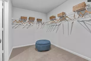 181 Calm Citadel Dr, Pelion, SC 29123 - Photo 22