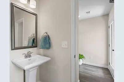 173 Calm Citadel Drive, Pelion, SC 29123 - Photo 6