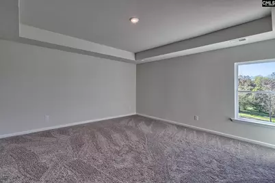 312 Star Capital Way, Pelion, SC 29123 - Photo 12