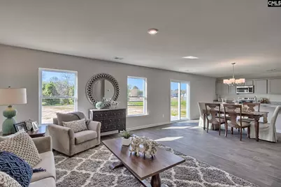 312 Star Capital Way, Pelion, SC 29123 - Photo 4