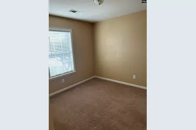 138 Cedar Glen Lane, Columbia, SC 29229 - Photo 4