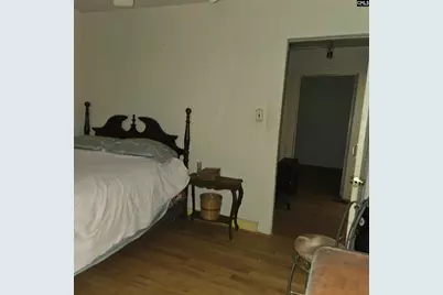 118 Jasper Lykes Road, Irmo, SC 29063 - Photo 10