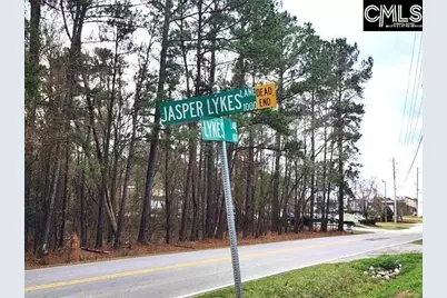 118 Jasper Lykes Road, Irmo, SC 29063 - Photo 2