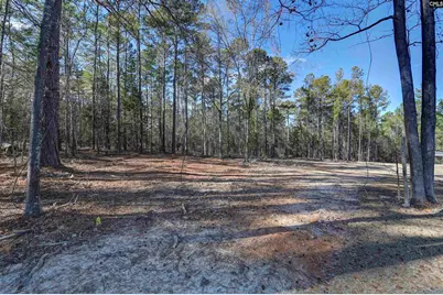 111 Greengarden Drive, Chapin, SC 29036 - Photo 54