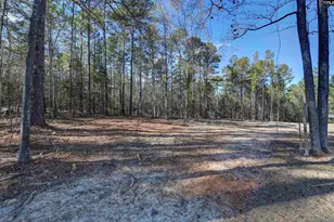 111 Greengarden Dr, Chapin, SC 29036 - Photo 54