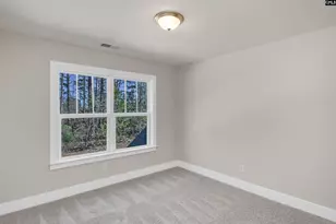 111 Greengarden Dr, Chapin, SC 29036 - Photo 44