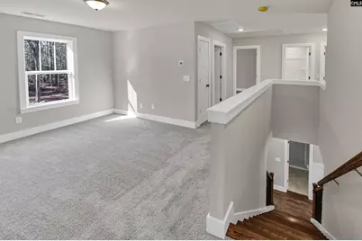 111 Greengarden Drive, Chapin, SC 29036 - Photo 32