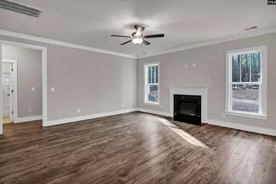 107 Greengarden Drive, Chapin, SC 29036 - Photo 16