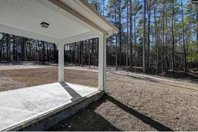 119 Greengarden Drive, Chapin, SC 29036 - Photo 46