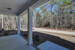 119 Greengarden Dr, Chapin, SC 29036 - Photo 6