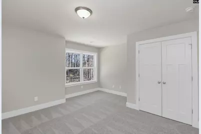 119 Greengarden Drive, Chapin, SC 29036 - Photo 44
