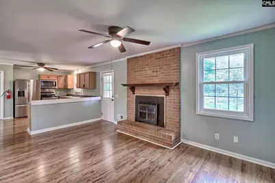 133 Hiram Allen Road, Blythewood, SC 29016 - Photo 8