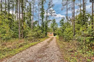 133 Hiram Allen Rd, Blythewood, SC 29016 - Photo 38
