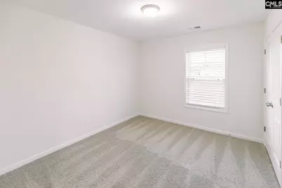 337 Wahoo Circle, Irmo, SC 29063 - Photo 28