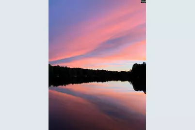 Lot 39 Edisto Lake Road #39, Wagener, SC 29164 - Photo 20