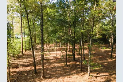 Lot 39 Edisto Lake Road #39, Wagener, SC 29164 - Photo 2
