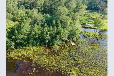 Lot 39 Edisto Lake Road #39, Wagener, SC 29164 - Photo 18