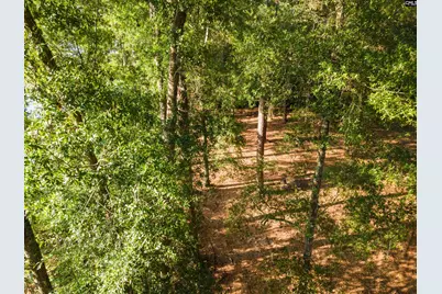 Lot 39 Edisto Lake Road #39, Wagener, SC 29164 - Photo 8
