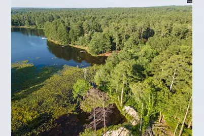 Lot 39 Edisto Lake Road #39, Wagener, SC 29164 - Photo 1