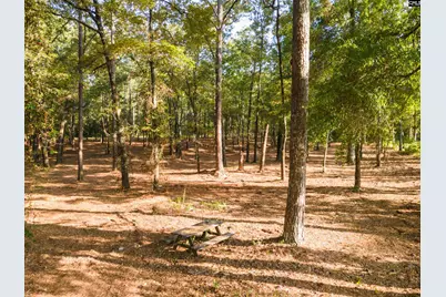 Lot 39 Edisto Lake Road #39, Wagener, SC 29164 - Photo 10