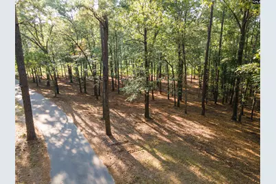 Lot 39 Edisto Lake Road #39, Wagener, SC 29164 - Photo 4