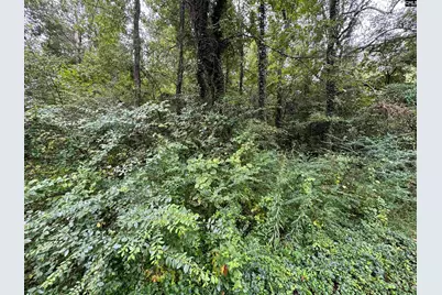 1314 Red Ridge Terrace, Columbia, SC 29203 - Photo 1