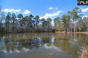 211 Stonington Dr, Blythewood, SC 29016 - Photo 20