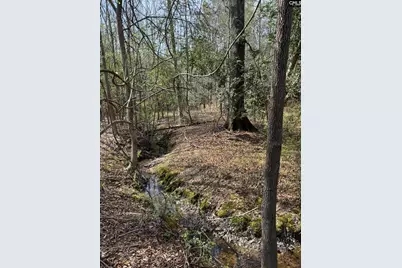 359 Holly Point Road, Prosperity, SC 29127 - Photo 14