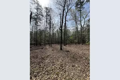 359 Holly Point Road, Prosperity, SC 29127 - Photo 8