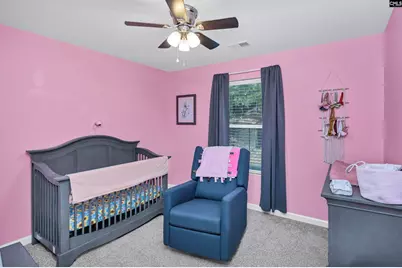 672 Old Orangeburg Road, Lexington, SC 29073 - Photo 44
