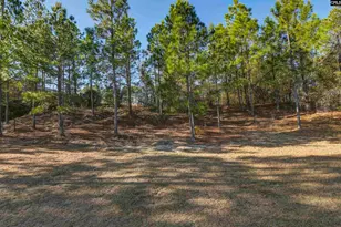 672 Old Orangeburg Rd, Lexington, SC 29073 - Photo 18