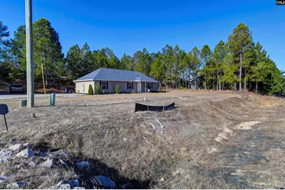 672 Old Orangeburg Road, Lexington, SC 29073 - Photo 4