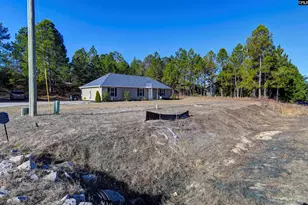 672 Old Orangeburg Rd, Lexington, SC 29073 - Photo 4