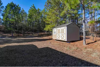 672 Old Orangeburg Road, Lexington, SC 29073 - Photo 16