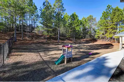 672 Old Orangeburg Road, Lexington, SC 29073 - Photo 10