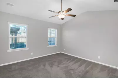 1312 Canopy Crest Lane, Chapin, SC 29036 - Photo 26