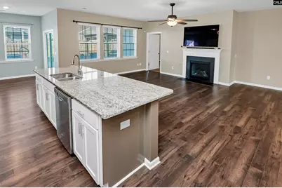 1312 Canopy Crest Lane, Chapin, SC 29036 - Photo 14