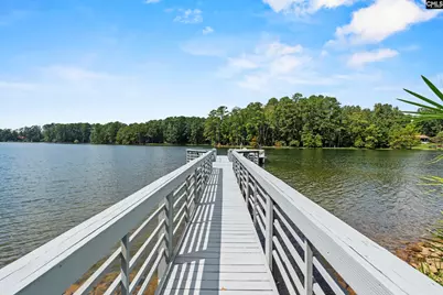 368 Frick Court, Chapin, SC 29036 - Photo 42