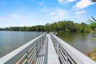 368 Frick Ct, Chapin, SC 29036 - Photo 42