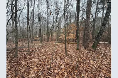 1058 Hinson Branch Road #1, Lugoff, SC 29078 - Photo 6