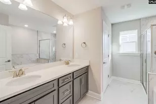 247 Laurelbrook Dr, Chapin, SC 29036 - Photo 16