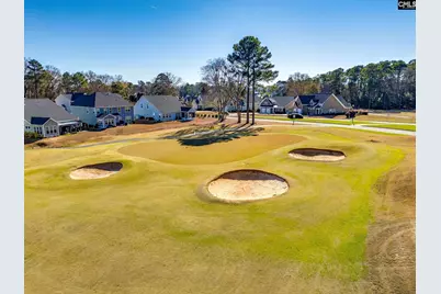 247 Laurelbrook Drive, Chapin, SC 29036 - Photo 38