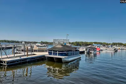 350 Chapin Place Way, Chapin, SC 29036 - Photo 22