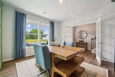 350 Chapin Place Way, Chapin, SC 29036 - Photo 10