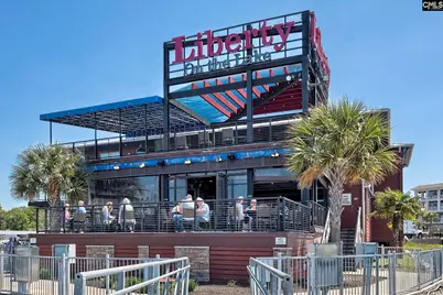 350 Chapin Place Way, Chapin, SC 29036 - Photo 20