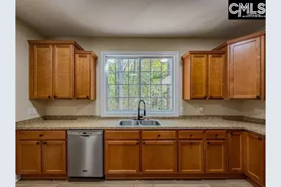 217 Woodleigh Park Drive, Columbia, SC 29229 - Photo 4