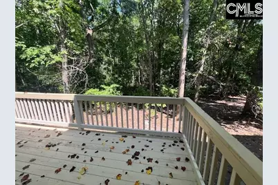217 Woodleigh Park Drive, Columbia, SC 29229 - Photo 22