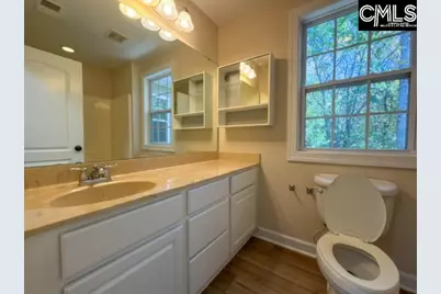 217 Woodleigh Park Drive, Columbia, SC 29229 - Photo 12